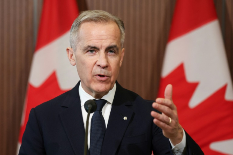 Canadian Prime Minister Mark Carney called US President Donald Trump's pause on global tariffs a 'welcome reprieve' ( AFP / Dave Chan )