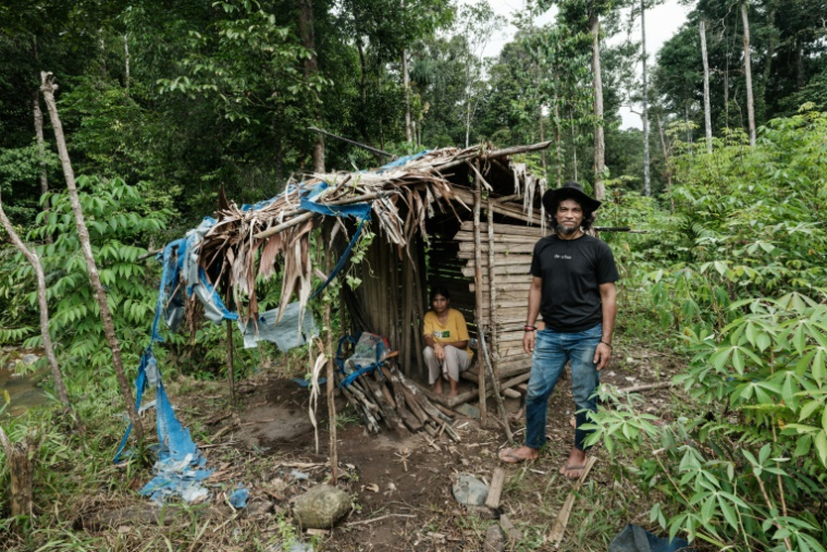Bokum et sa femme Nawate, membres de la tribu Hongana Manyawa, dans leur champ de manioc à East Halmahera, dans le nord des Moluques, le 16 avril 2025 en Indonésie ( AFP / YASUYOSHI CHIBA )