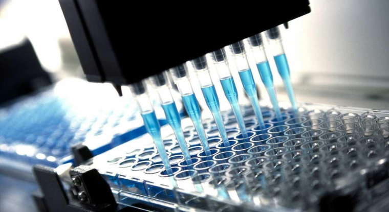 Le titre de la biotech cède 50% depuis le début de l'année. (© DR)