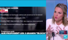 Législatives en France : et la santé ?... Ce qu'il y a dans les programmes des candidats