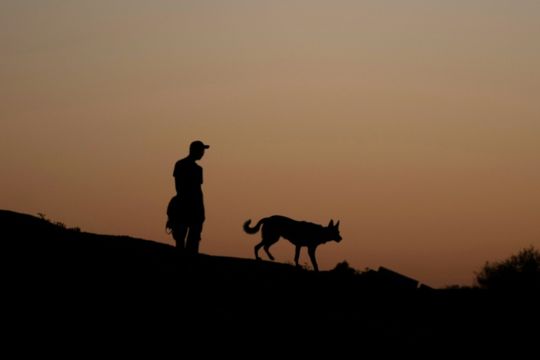 D'où viennent les chiens et depuis quand accompagnent-ils l'être humain ? De nouvelles études établissent leur présence en Europe il y a près de 16.000 ans, soit 5.000 ans plus tôt que ce que les précédentes recherches évaluaient ( AFP / NATALIA KOLESNIKOVA )