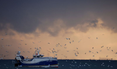 BREXIT: DES AIDES SERONT APPORTÉES AUX PÊCHEURS FRANÇAIS