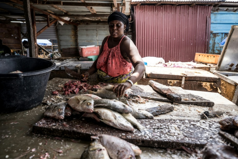 Sirah Darboe-Manneh, 31 ans, poissonnière et mère de six enfants, découpe du poisson sur un quai de débarquement à Tanji, en Gambie, le 12 septembre 2026, alors que les coupures d'électricité prolongées compliquent la conservation du poisson ( AFP / MUHAMADOU BITTAYE )