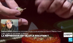 Lutte contre le narcotrafic en France : la répression est-elle la solution ?