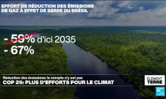 Baisse des émissions: le Brésil présente son plan et relève ses ambitions