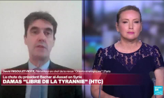 Chute de Bachar al-Assad : le régime syrien "se savait faible"