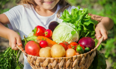 Locavors : certaines plateformes s’imposent (Crédits photo : Shutterstock)