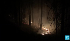 Incendies : un été marqué par une série de catastrophes climatiques