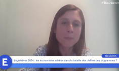 Législatives 2024 : quand les économistes se divisent sur les programmes