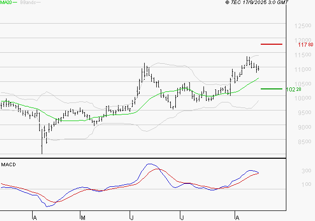 ALTAREA : Le mouvement reste haussier