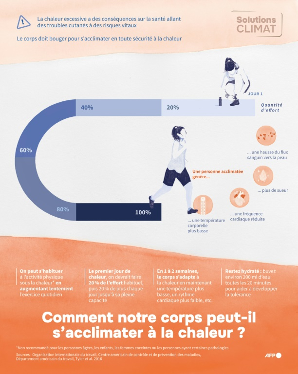 Infographie montrant les principes clés du processus d'acclimatation à la chaleur par lequel nous pouvons entraîner le corps à mieux gérer le stress thermique en une à deux semaines ( AFP / Ioana PLESEA )