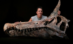Le paléontologue américain Paul Sereno pose à l'Université de Chicago, le 19 septembre 2025, près d'un moulage du crâne du premier fossile découvert de Spinosaurus Mirabilis, nouvelle espèce de Spinosaurus mise au jour ( Fossil Lab, University of Chicago / Keith Ladzinski )