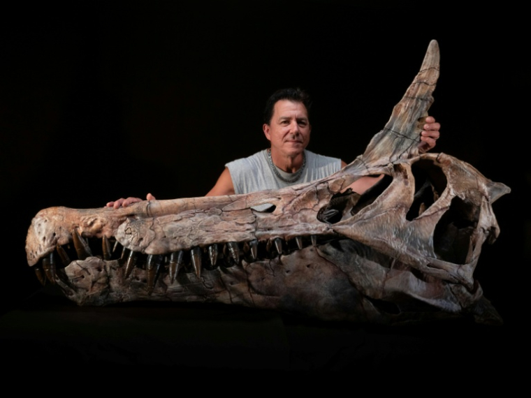 Le paléontologue américain Paul Sereno pose à l'Université de Chicago, le 19 septembre 2025, près d'un moulage du crâne du premier fossile découvert de Spinosaurus Mirabilis, nouvelle espèce de Spinosaurus mise au jour ( Fossil Lab, University of Chicago / Keith Ladzinski )