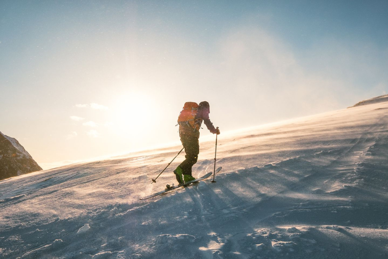 (Crédits photo : Adobe Stock - )