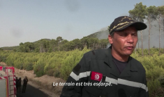 Tunisie: les pompiers luttent contre un incendie à Sakiet Sidi Youssef