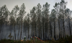 Des pompiers luttent contre un incendie de forêt à Saint-Jean-d'Illac, à environ 30 km de Bordeaux, alors qu'un feu de forêt ravage la forêt au nord du bassin d'Arcachon en Gironde ( AFP / ROMAIN PERROCHEAU )