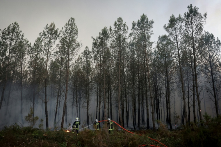 Des pompiers luttent contre un incendie de forêt à Saint-Jean-d'Illac, à environ 30 km de Bordeaux, alors qu'un feu de forêt ravage la forêt au nord du bassin d'Arcachon en Gironde ( AFP / ROMAIN PERROCHEAU )