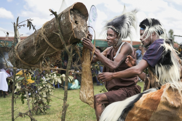 Des apiculteurs traditionnels effectuent une simulation de récolte de miel à partir de ruches fabriquées dans des troncs d'arbres lors du 6e festival culturel annuel Ogiek dans le quartier de Nkareta du comté de Narok, le 15 août 2025 au Kenya ( AFP / Tony KARUMBA )