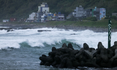 Des vagues s'écrasent le long de la côte à l'approche du typhon Champi à Keelung, à Taïwan, le 22 octobre 2026 ( AFP / I-Hwa Cheng )
