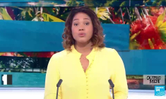 Algues aux Antilles : création d'un "service public anti-sargasses"