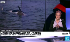 Journée mondiale de l’océan : "on est dans une course contre la montre"