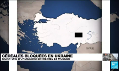 Accord sur les céréales ukrainiennes : 25 millions de tonnes de blé devraient être débloquées