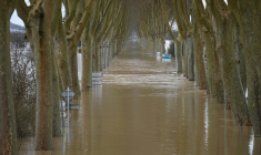 Cette photographie montre la Garonne en crue inondant une route à Tonneins, dans le sud-ouest de la France, le 13 février 2026 ( AFP / Christophe ARCHAMBAULT )