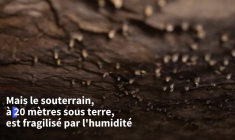 Catacombes de Paris: dernières balades entre les morts avant travaux