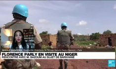 Florence Parly en visite au Niger pour discuter de l'évolution de Barkhane