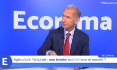 Nicolas Baverez : "Que la France soit dépendante d'un point de vue agricole, c'est une aberration !"