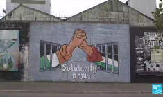 Irlande du Nord : Londres et Bruxelles en opposition sur le protocole post-Brexit