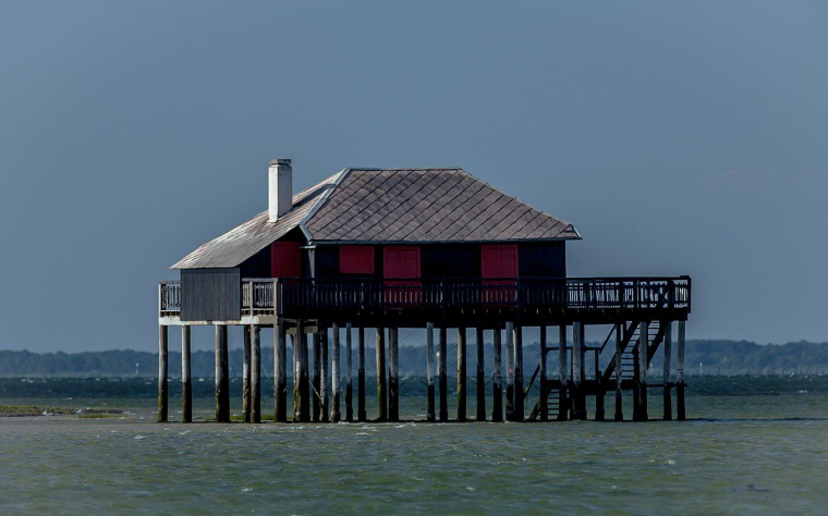 (Crédits photo : Wikimedia Commons - Grand Parc - Bordeaux, France )