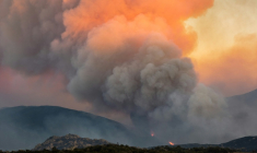 Un nuage de fumée provenant d’un incendie de forêt qui ravage la région des Aspres, vu depuis Montalba-le-Château, dans le département des Pyrénées-Orientales, le 5 juillet 2026 ( AFP / Jc Milhet )