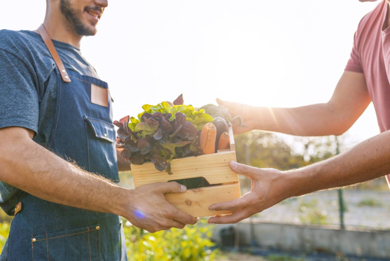 Le chèque alimentaire refait surface-iStock-dragana991