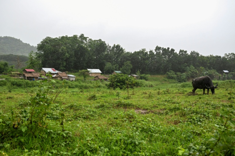 Le village philippin de Capas, à une centaine de kilomètres au nord de Manille, le 2 septembre 2026 à  ( AFP / Jam STA ROSA )