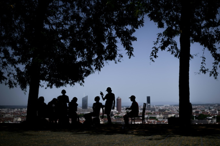 Des habitants à l'ombre des arbres dans un parc à Lyon, lors d'une vague de chaleur, le 25 juin 2025 dans le Rhône ( AFP / JEFF PACHOUD )