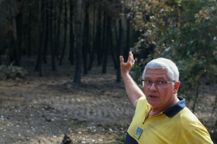 André Prouvoyeur montre les bois calcinés, à Saumos en Gironde, le 30 juillet 2026 ( AFP / ALAIN JOCARD )