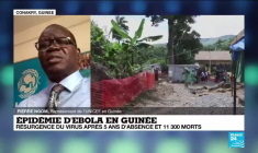 Epidémie d'Ebola en Guinée : résurgence du virus après 5 ans d'absence