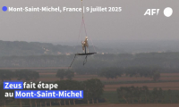 Zeus, le cheval des JO-2024, arrive au Mont-Saint-Michel