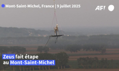 Zeus, le cheval des JO-2024, arrive au Mont-Saint-Michel