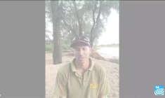 Kenya : selon une étude scientifique, les Eléphants s'appellent par leur nom