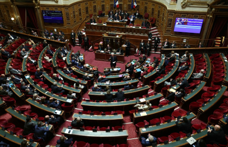 ( AFP / THOMAS SAMSON )