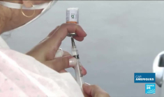 Au Mexique, l’Eldorado du papillon monarque