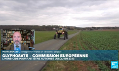 Glyphosate : la Commission européenne propose de prolonger son autorisation pour 10 ans (partie 1)