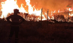Photo fournie le 20 juillet 2026 par INFOCAM, l'unité de prévention des incendies de Castille-La Manche, montrant des pompiers luttant contre un feu de forêt dans la zone de La Mierla, près de Guadalajara, à environ 100 kilomètres au nord de Madrid, en Espagne ( UME / Handout )