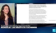 « Les herbicides sont une arme » : Israël déverse du glyphosate en territoire libanais