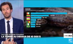 Coup de chaud sur le cacao, dont le prix a dépassé 10 000 dollars la tonne