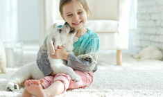 Avoir un animal de compagnie représente un certain coût. ( crédit photo : Shutterstock )