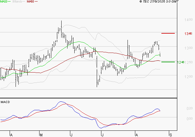 CARREFOUR SA : Les cours sont à des niveaux intéressants