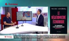 Le négationnisme économique ruine-t-il la France ?